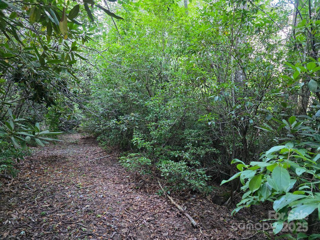 LOT 2 Pine Ridge RD, Burnsville, NC 28714