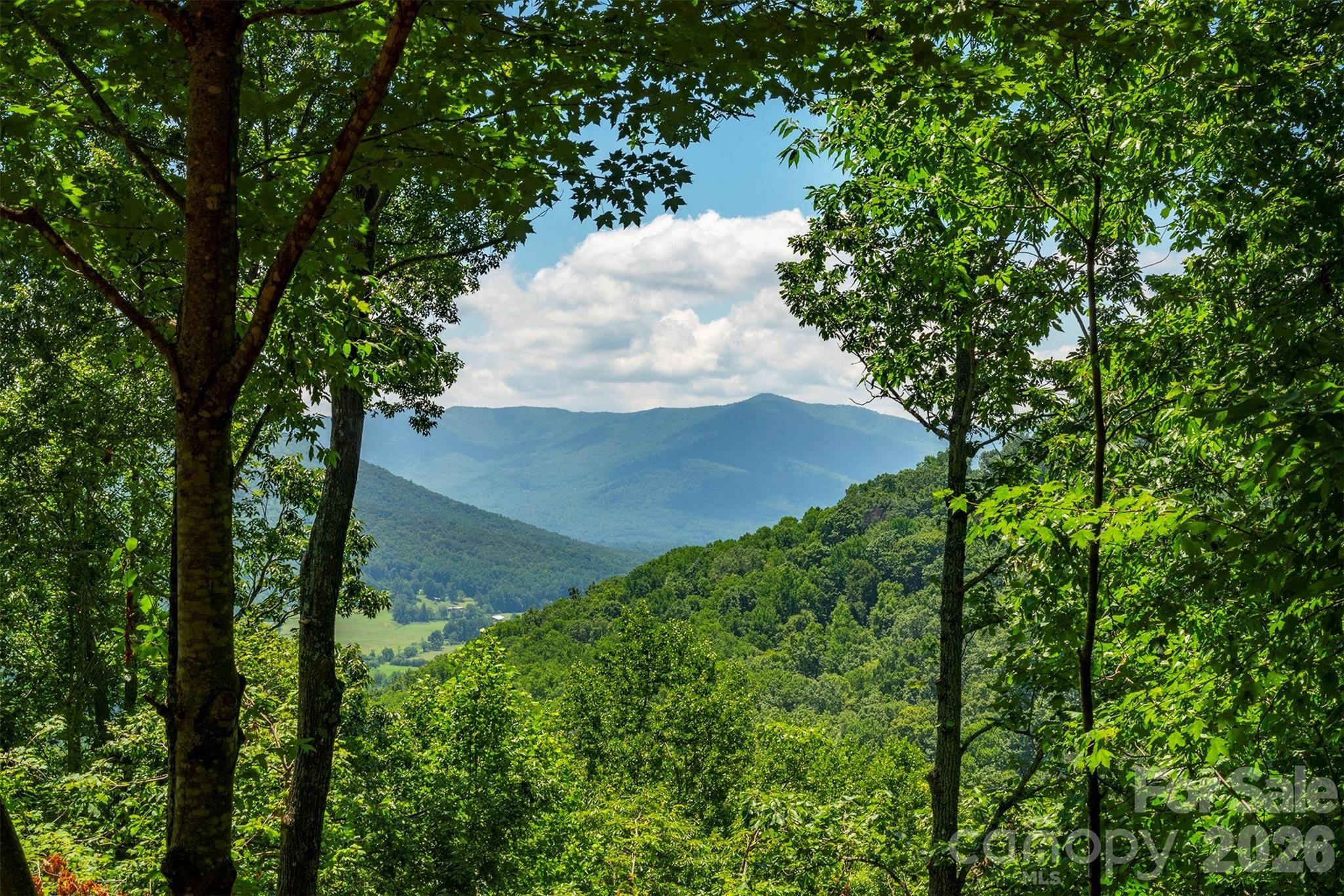 7 Winding Poplar RD, Black Mountain, NC 28711