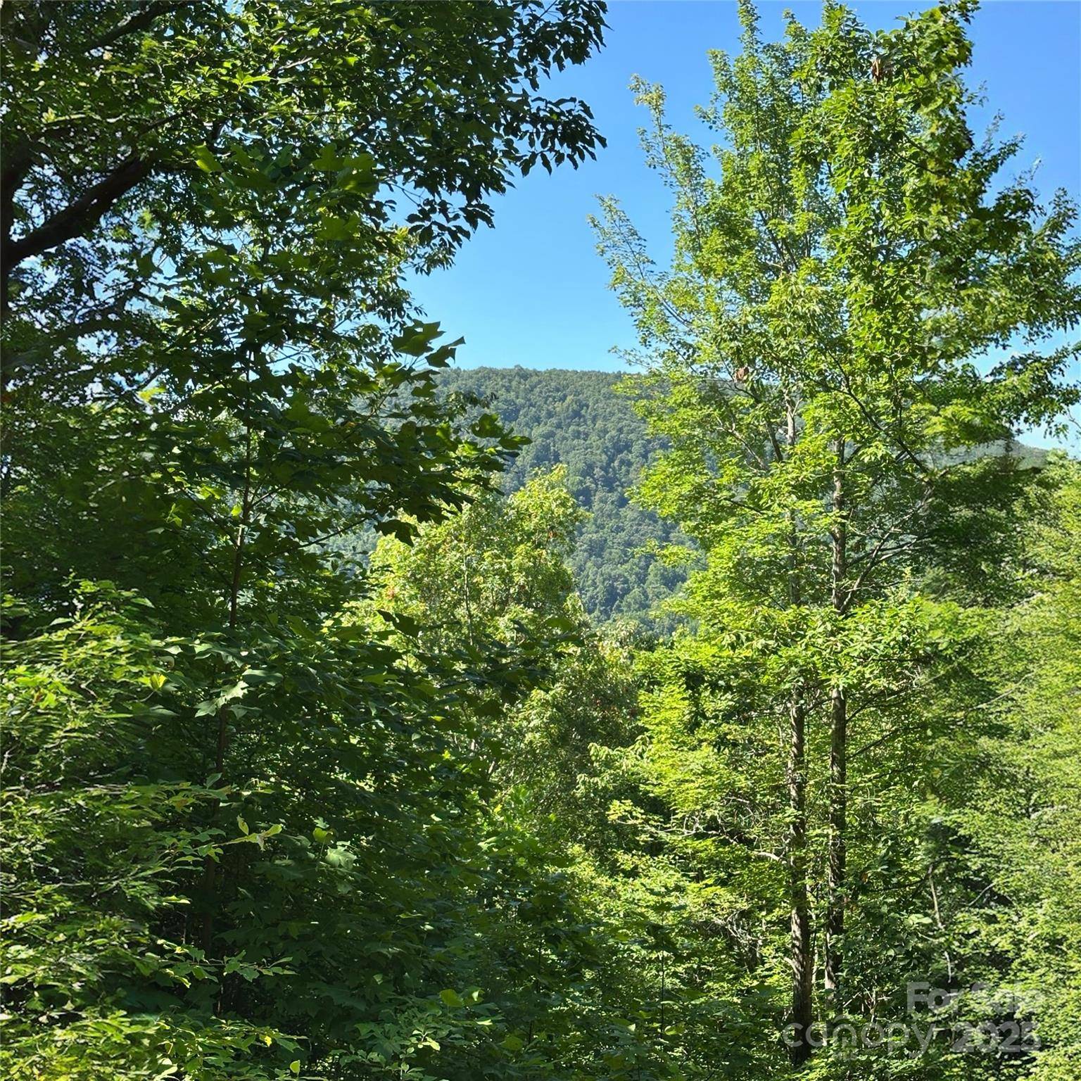 33 Nuthatch LN #T-84, Black Mountain, NC 28711