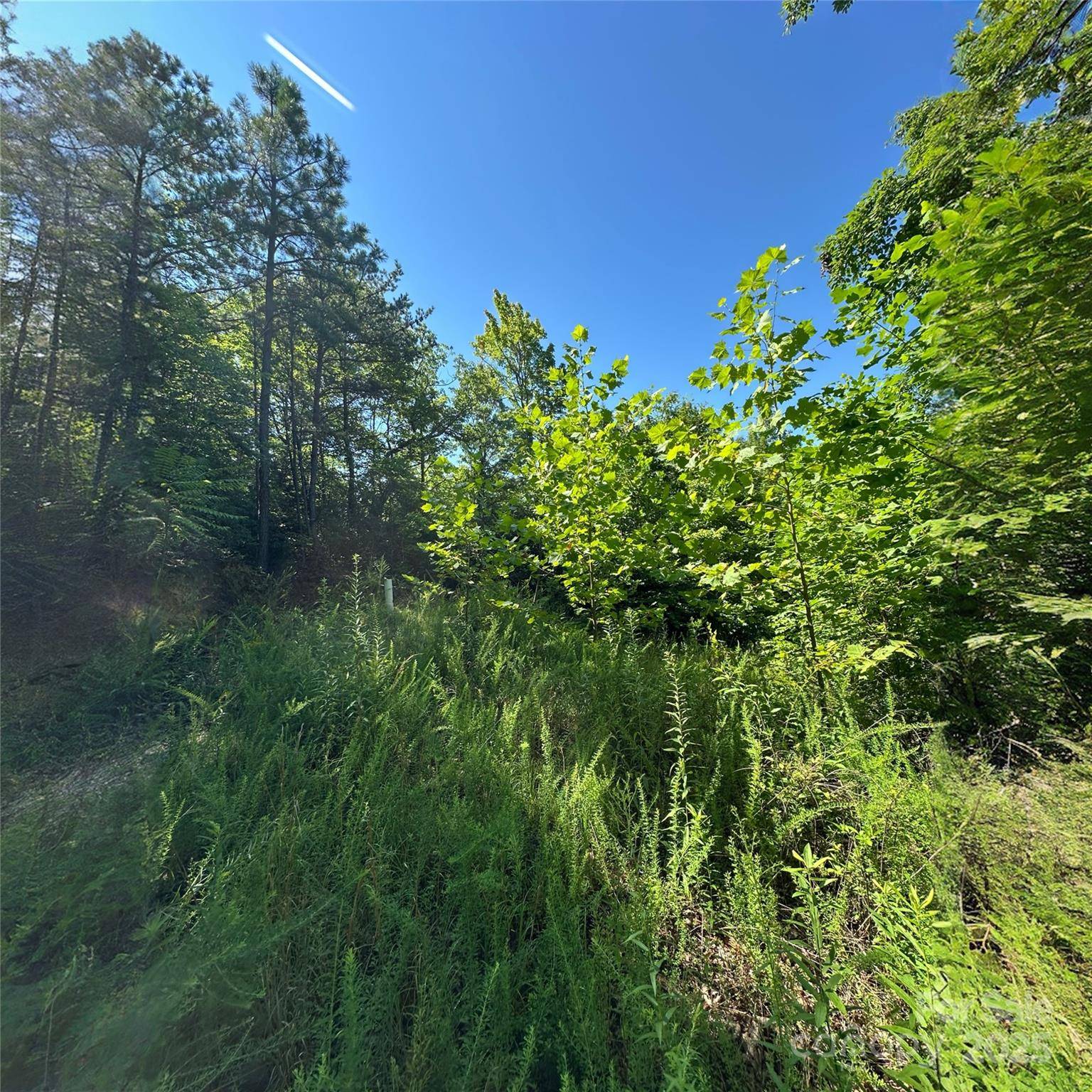 33 Nuthatch LN #T-84, Black Mountain, NC 28711