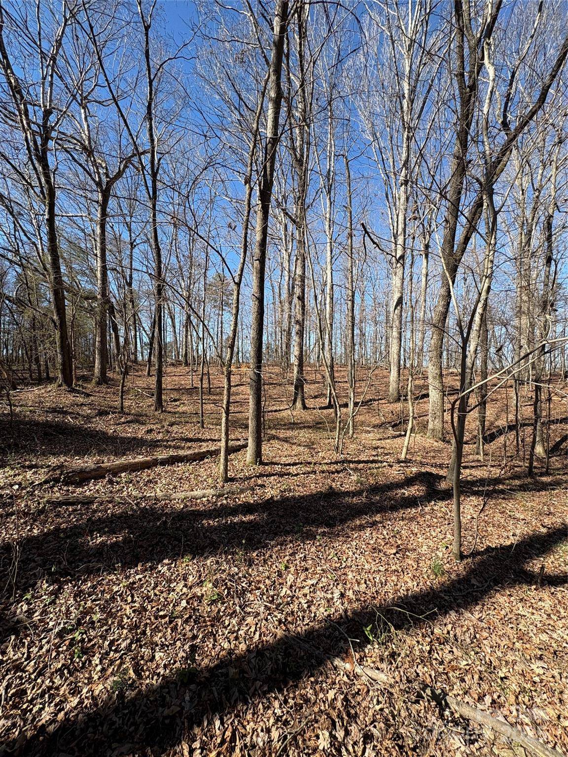 1417 Ellis Griffin RD, Wingate, NC 28174