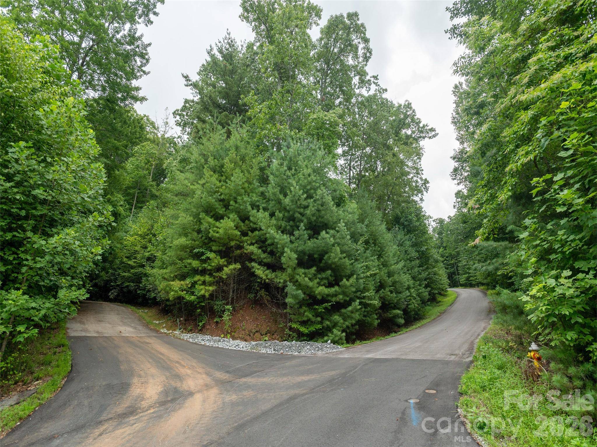 0 Willow Falls LN, Hendersonville, NC 28792