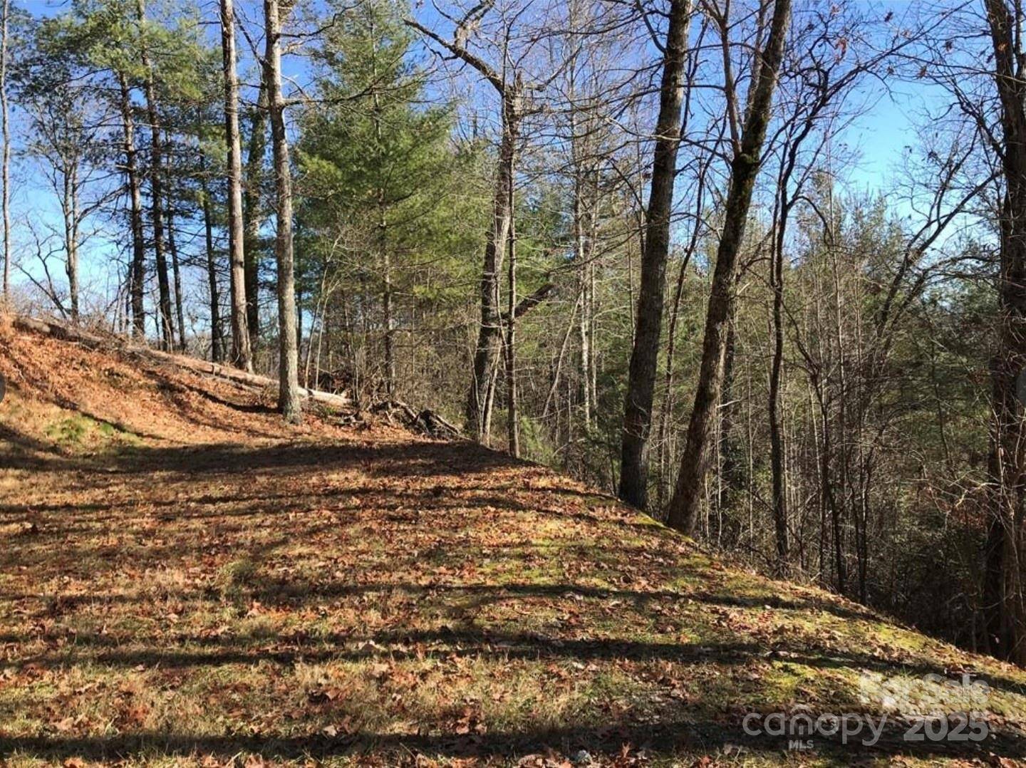 0 Saturn WAY, Topton, NC 28781