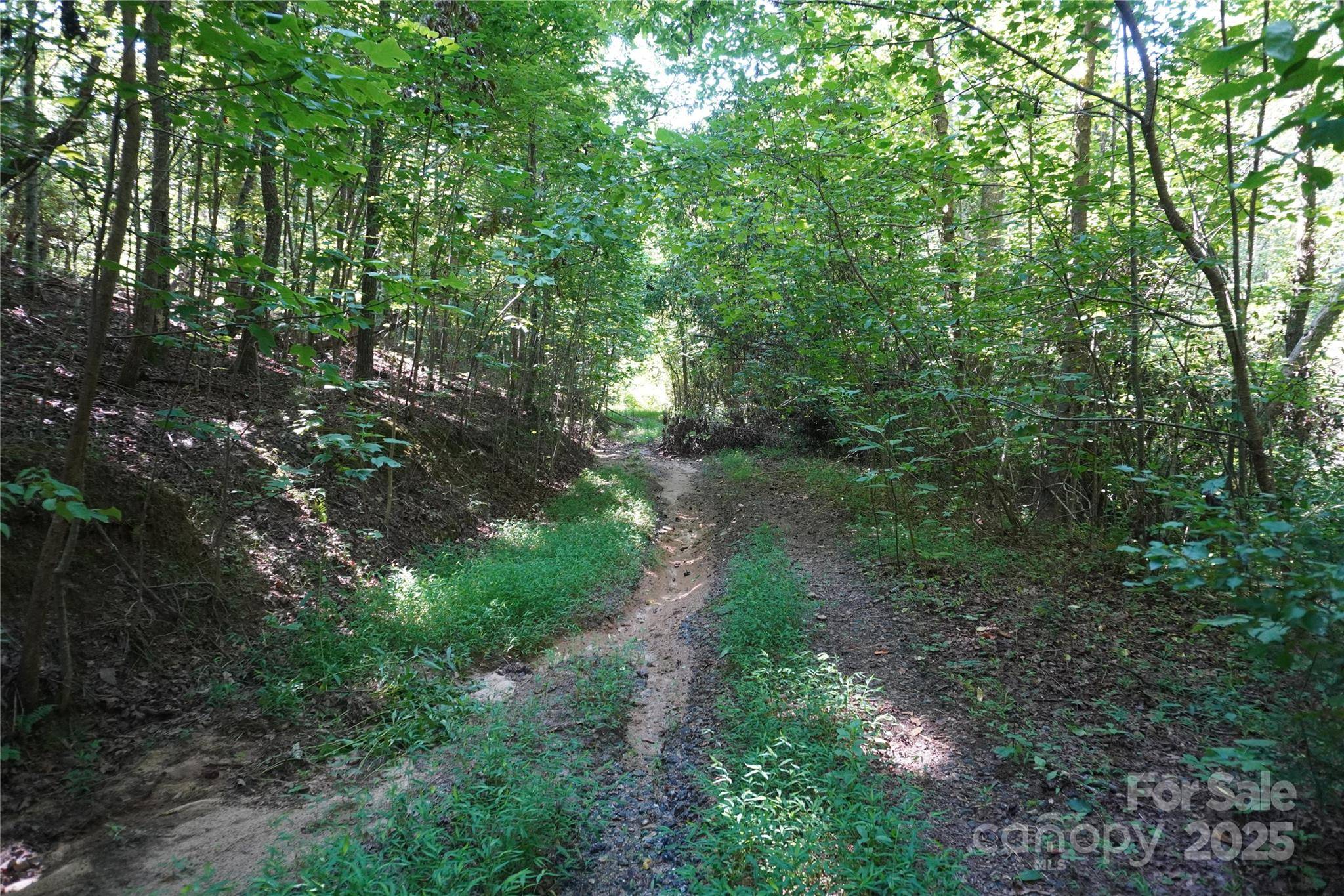 2899 Golden Bell LN, Hudson, NC 28638