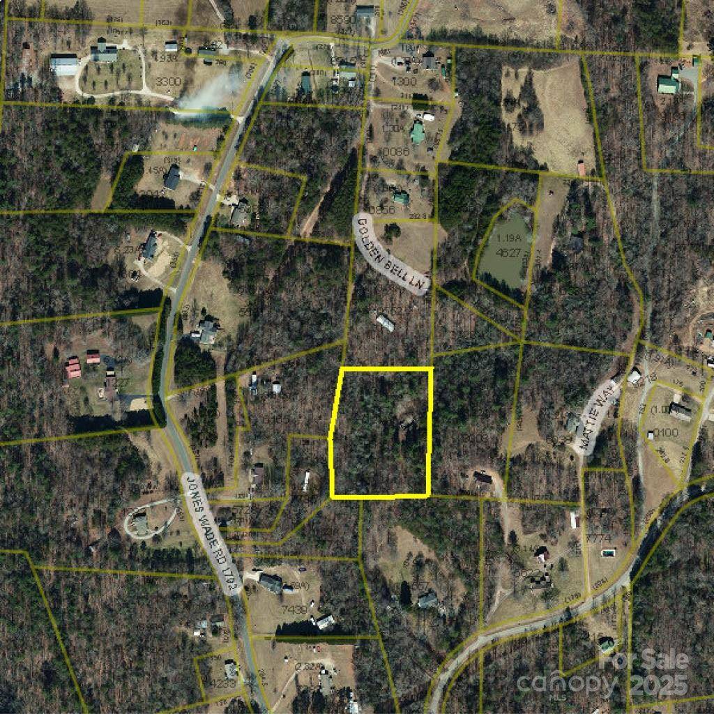 2899 Golden Bell LN, Hudson, NC 28638