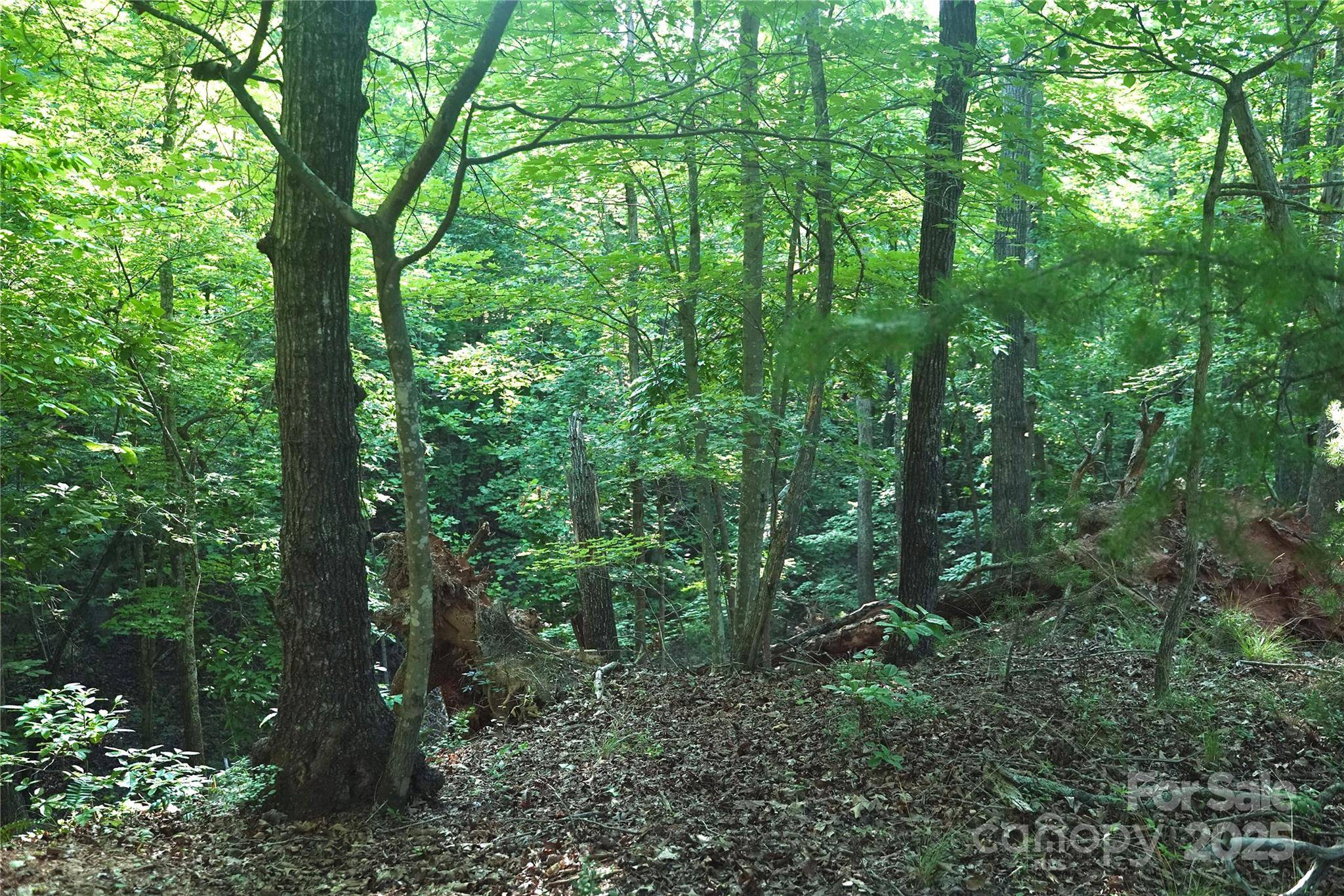 0 Parkway North None #13, Mill Spring, NC 28756