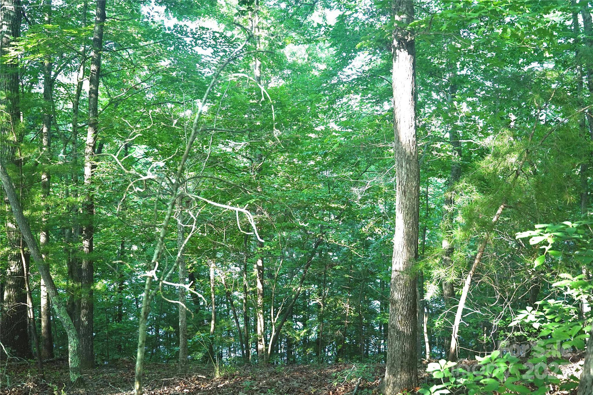 0 Parkway North None #13, Mill Spring, NC 28756