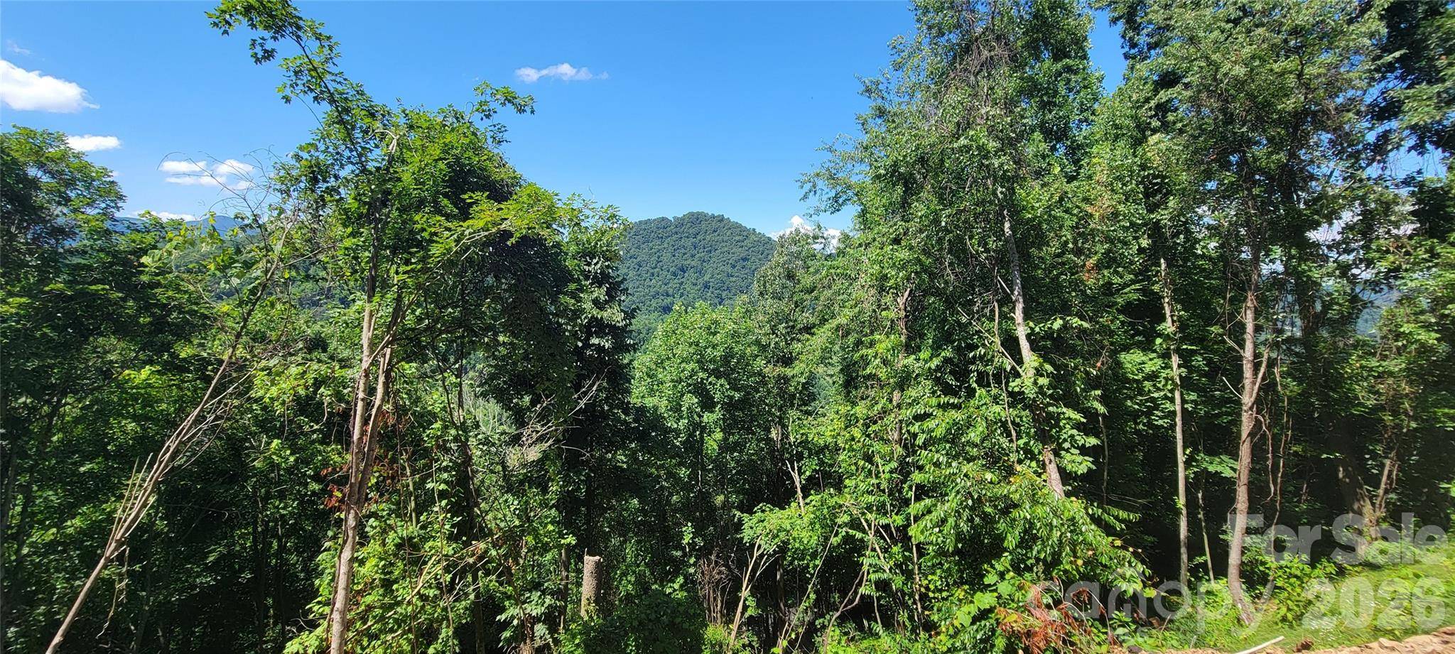 32 Destination DR, Waynesville, NC 28786