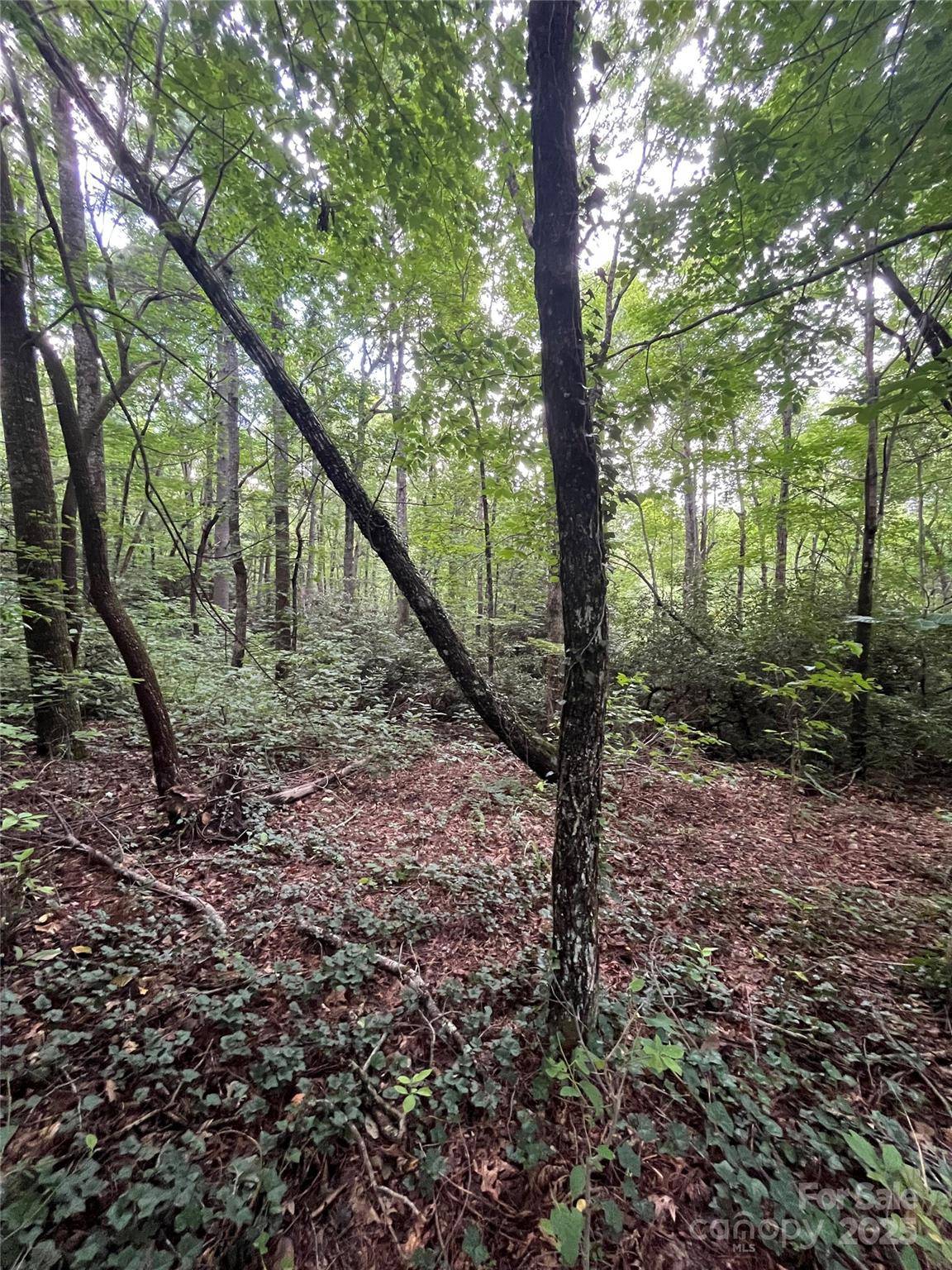 000 GREENLEAF DR, Flat Rock, NC 28731