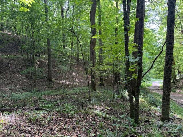 0 Cane Mountain LN, Burnsville, NC 28714