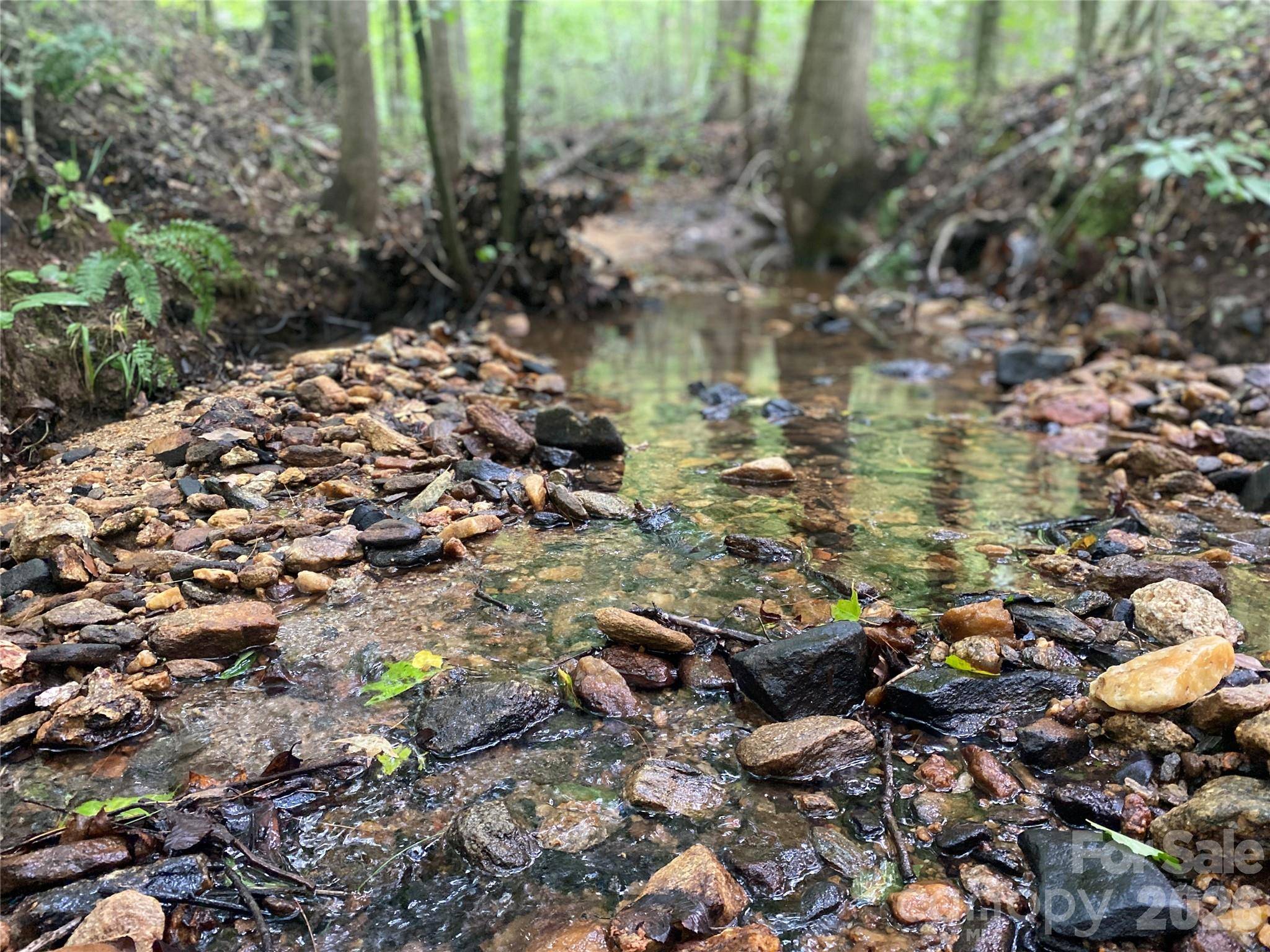 0 Camp McCall RD, Bostic, NC 28018
