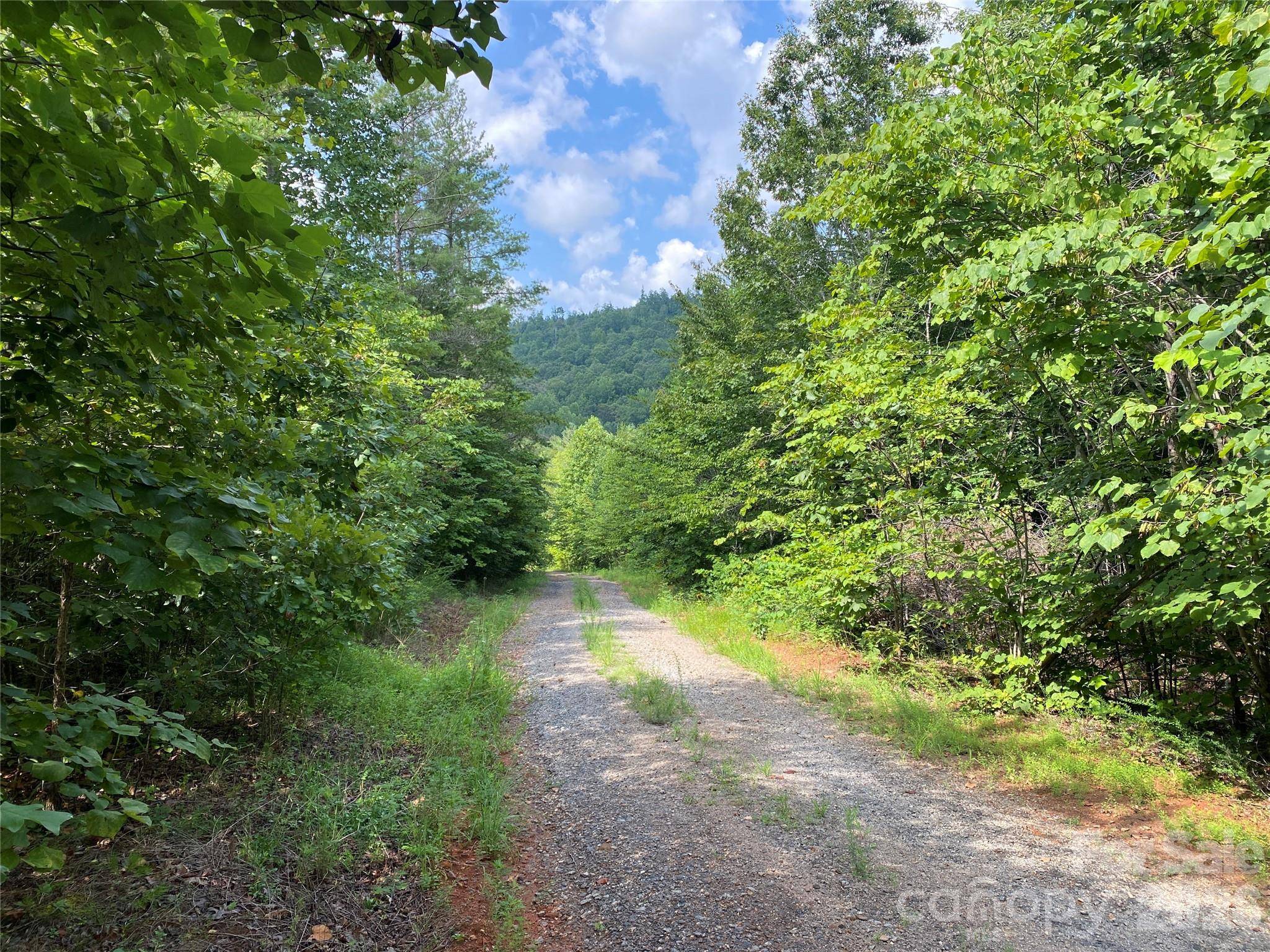0 Camp McCall RD, Bostic, NC 28018