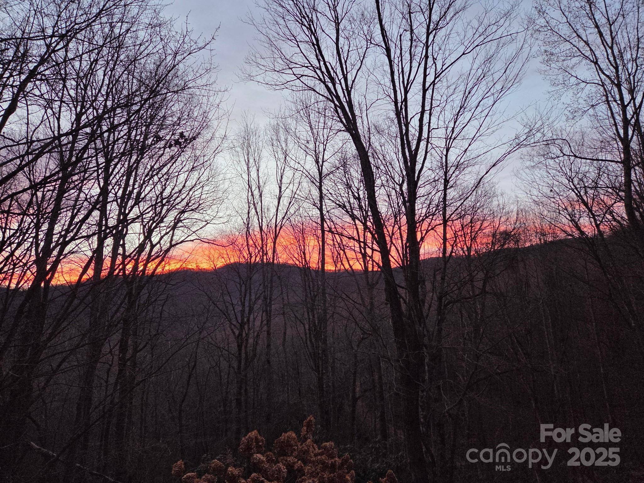 50 Firefly Springs LN, Candler, NC 28715