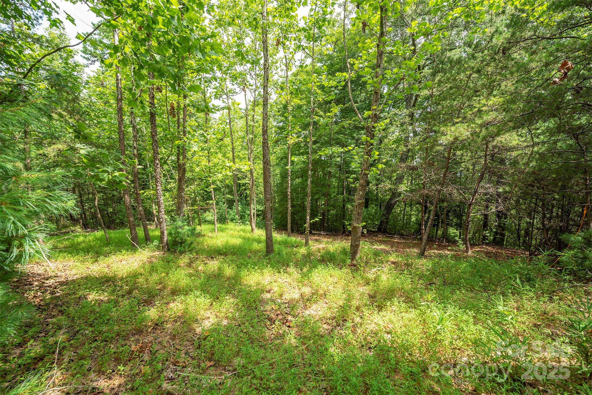 LOT 46 Black Forest DR, Marion, NC 28752