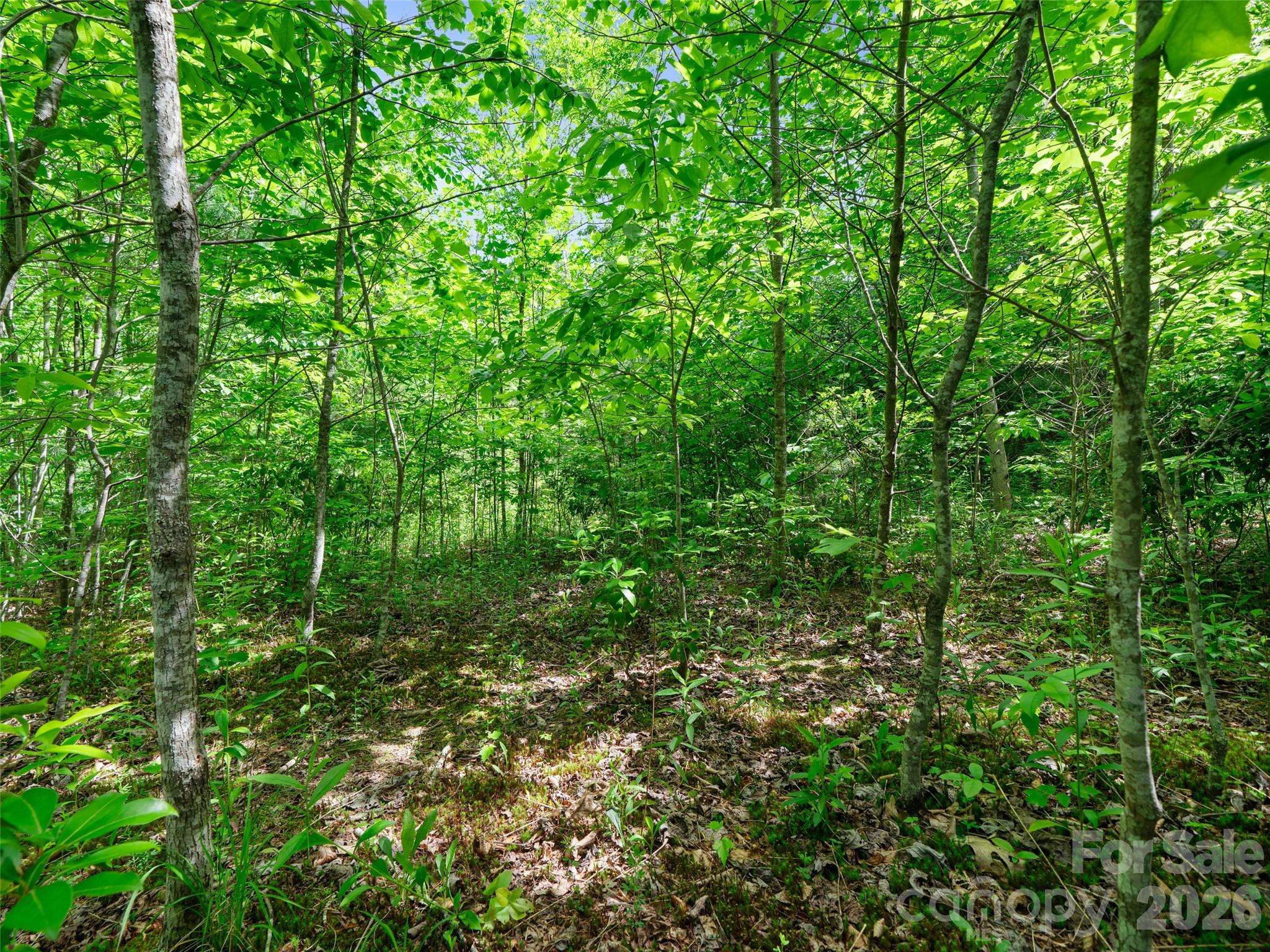99999 Millbrae LOOP N, Hendersonville, NC 28791