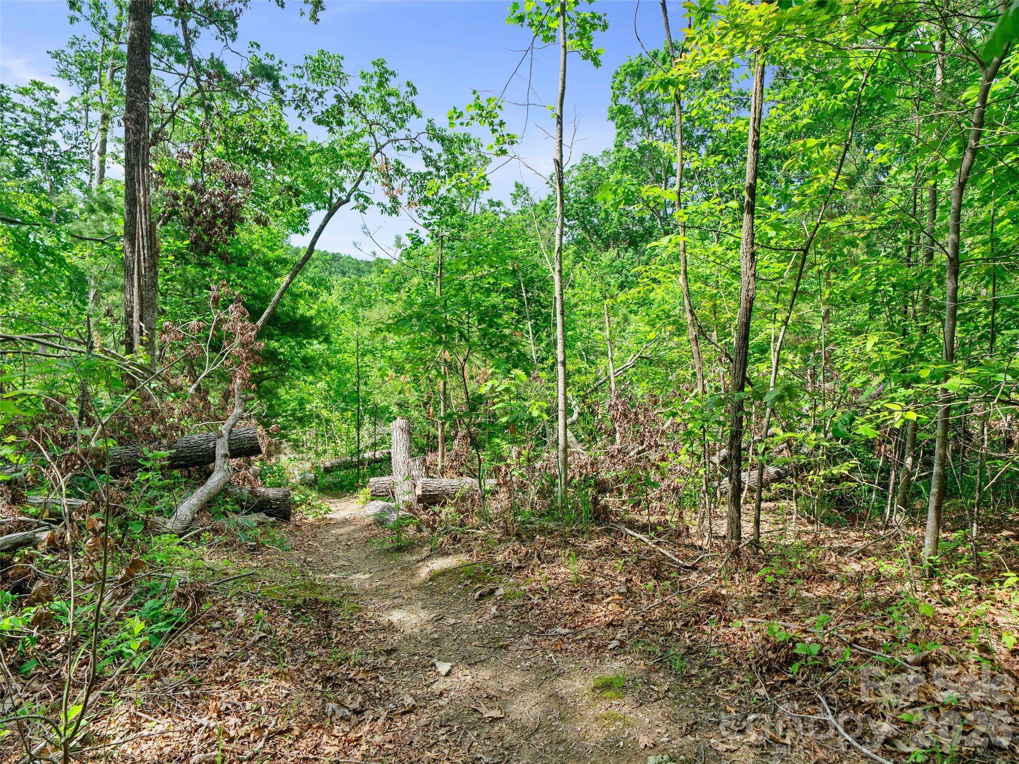 99999 Millbrae LOOP N, Hendersonville, NC 28791