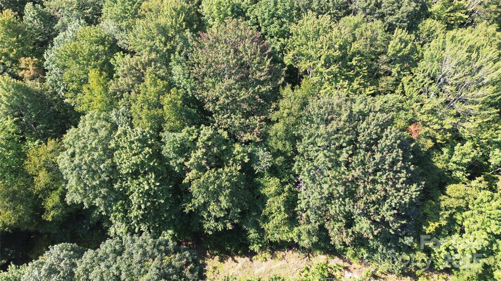 154 Raccoon RD, Beech Mountain, NC 28604