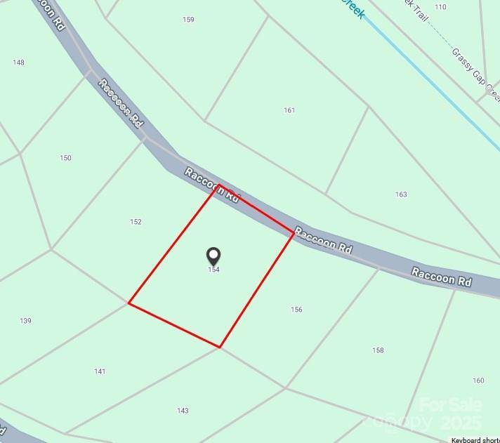 154 Raccoon RD, Beech Mountain, NC 28604