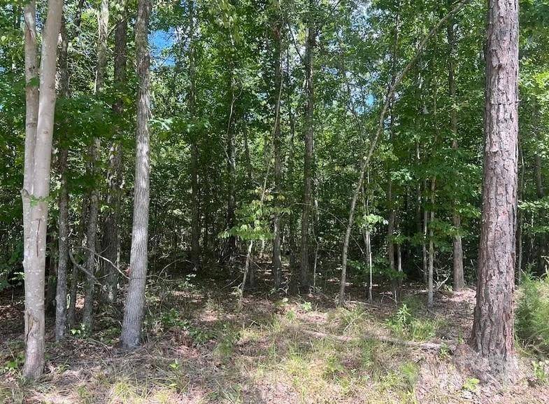 00 Blue Branch RD #Tract C, Gaffney, SC 29340