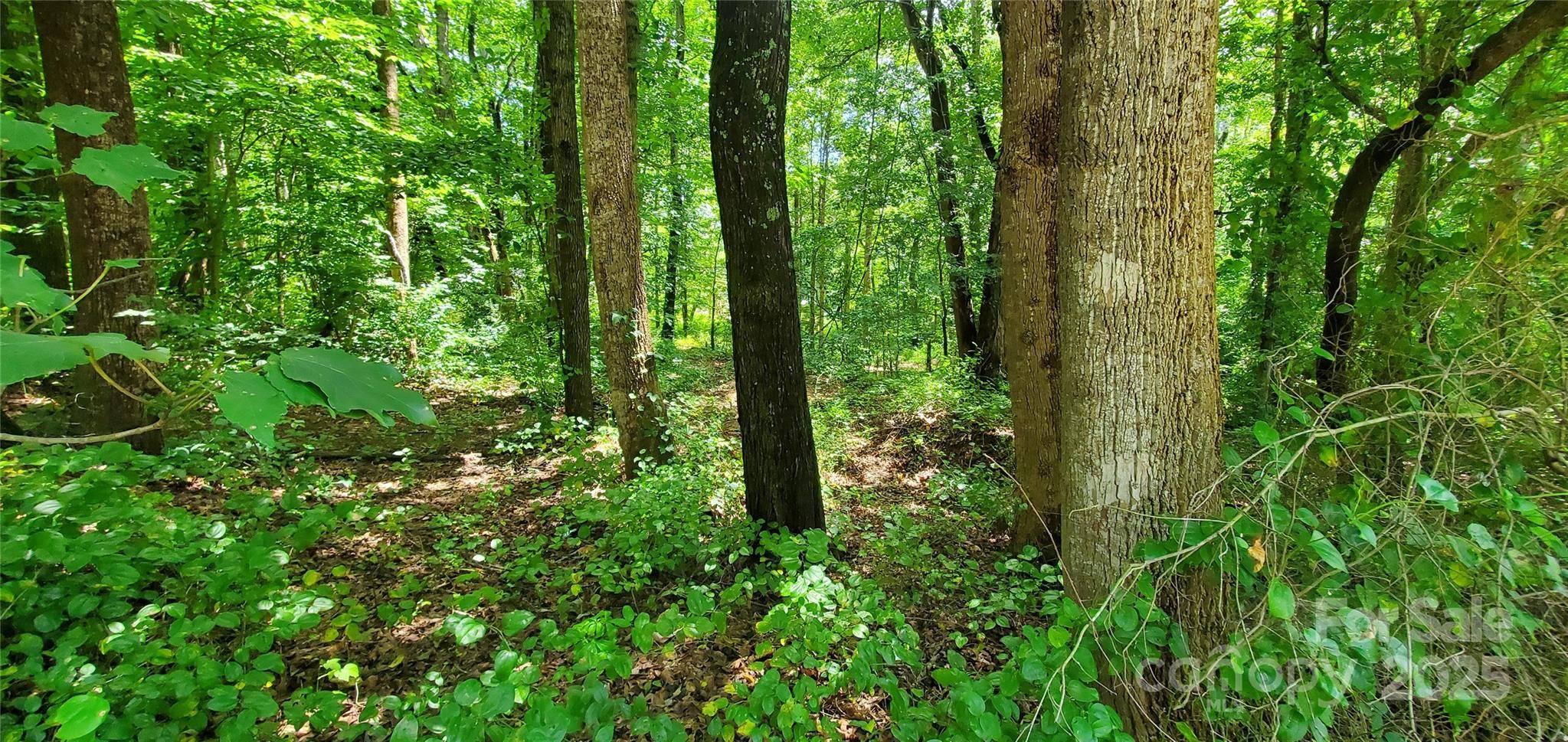3939 US 64 HWY W #5, Mocksville, NC 27028
