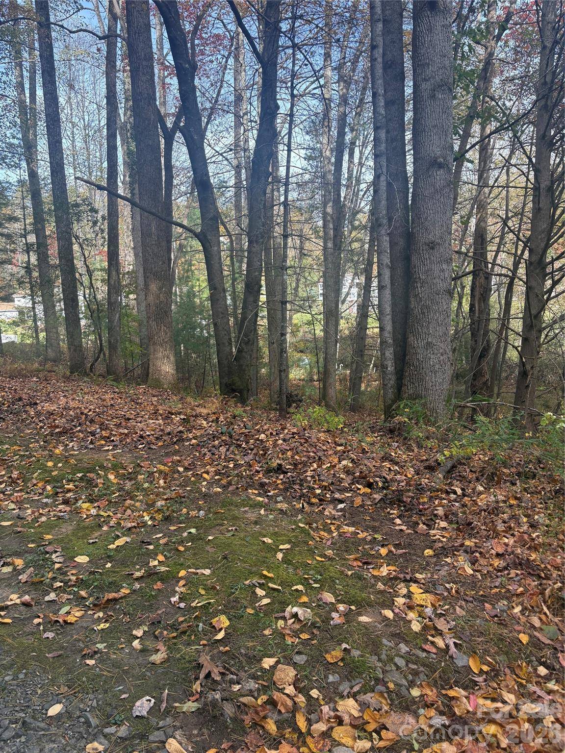 BL-A Club House CT #BL-A, Brevard, NC 28712