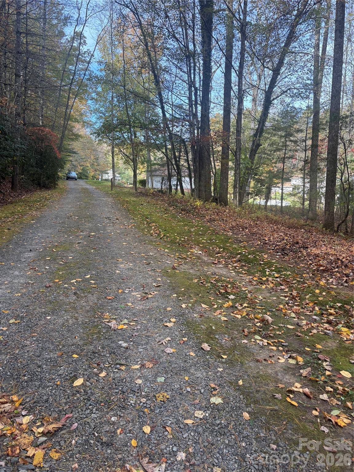 BL-A Club House CT #BL-A, Brevard, NC 28712