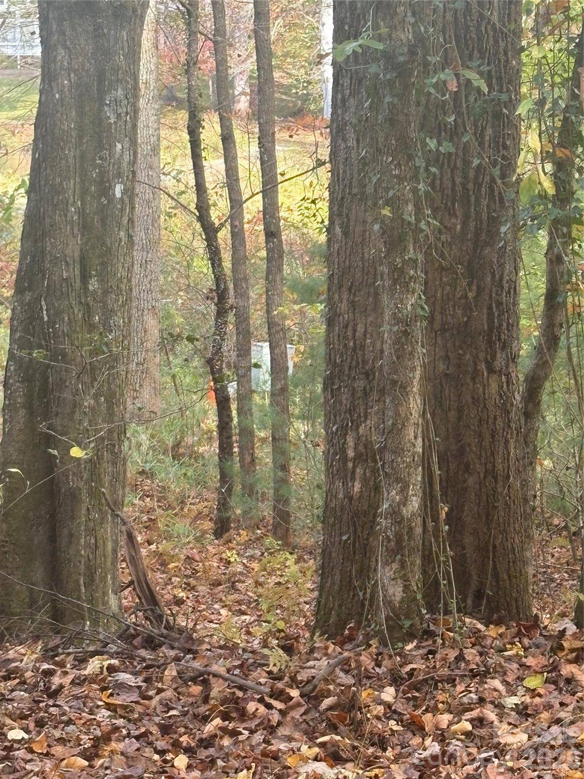BL-A Club House CT #BL-A, Brevard, NC 28712