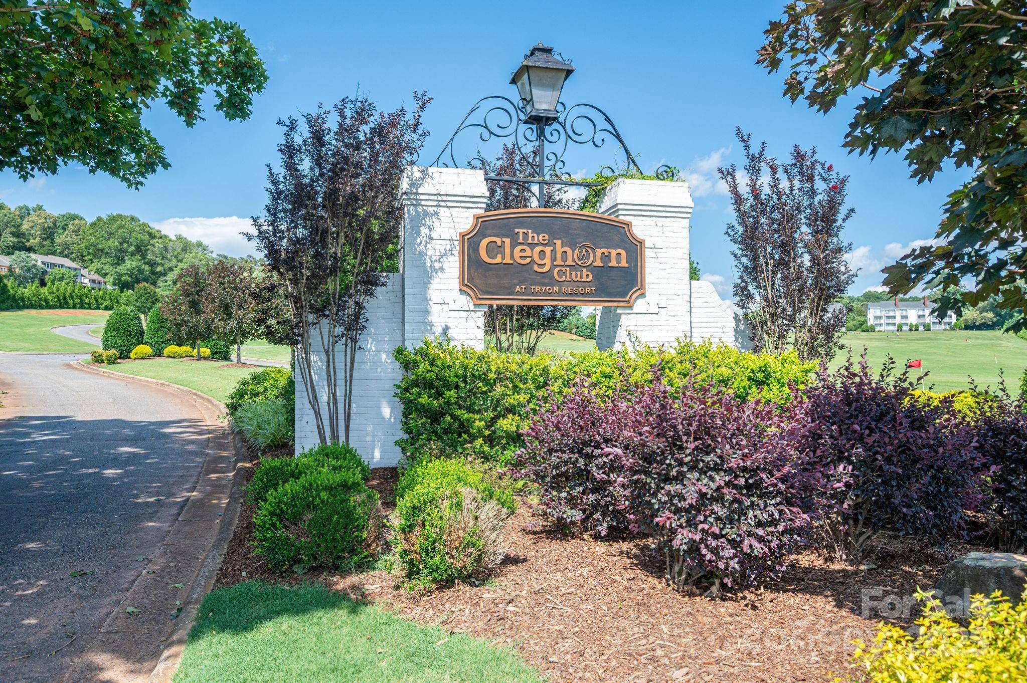 Lot  165 Plantation DR, Rutherfordton, NC 28139