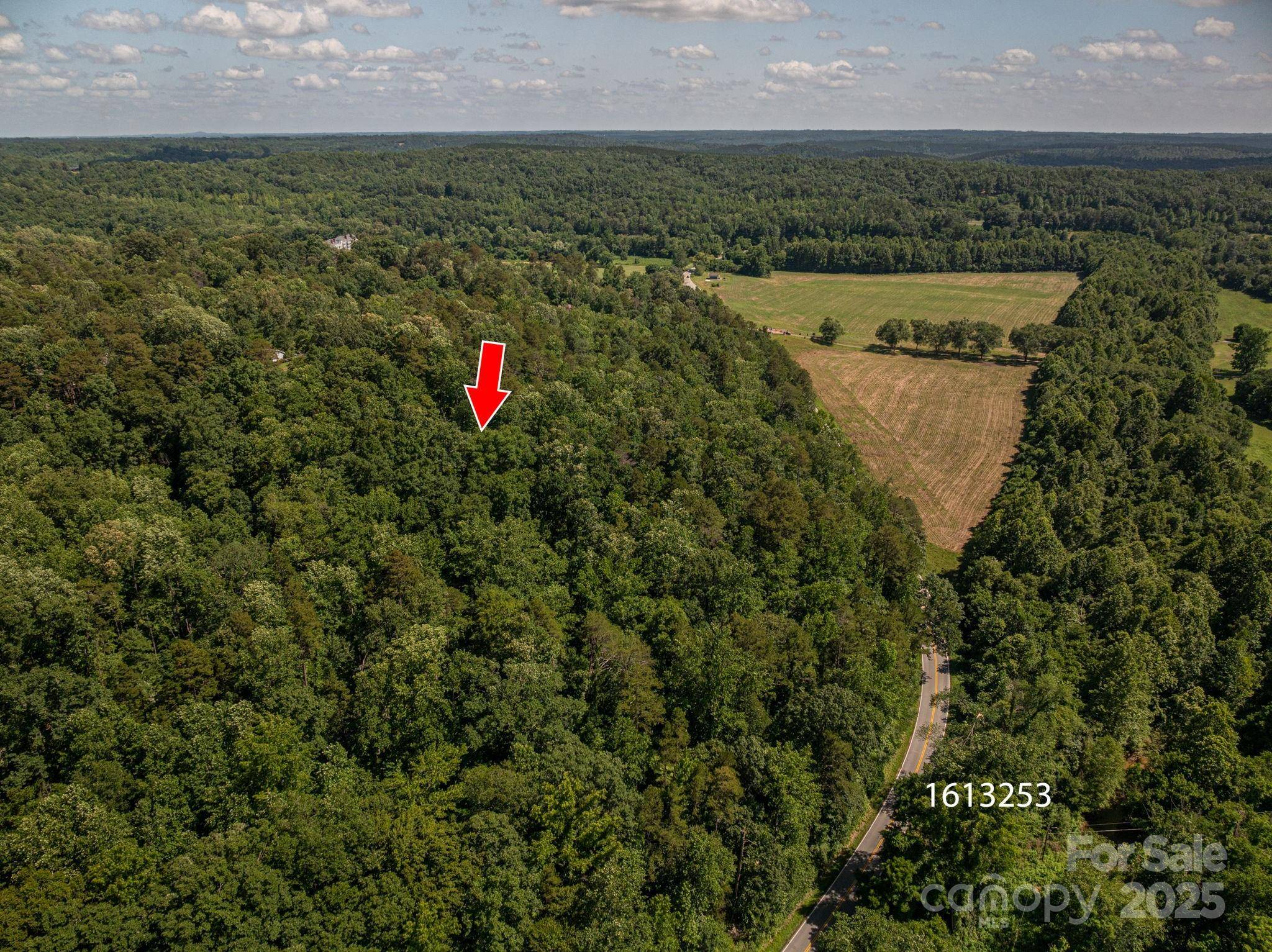 Lot 165 Plantation DR, Rutherfordton, NC 28139