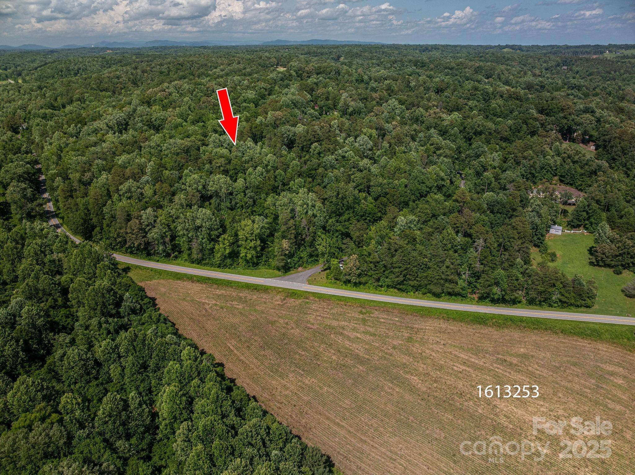 Lot 165 Plantation DR, Rutherfordton, NC 28139