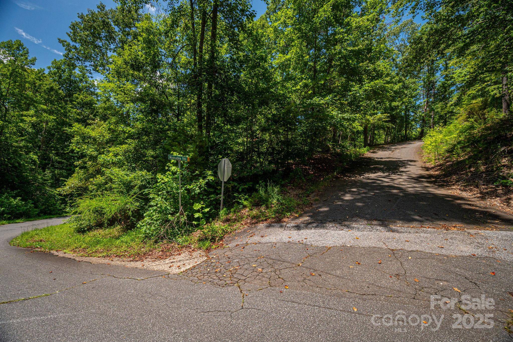 Lot 177 Plantation DR, Rutherfordton, NC 28139
