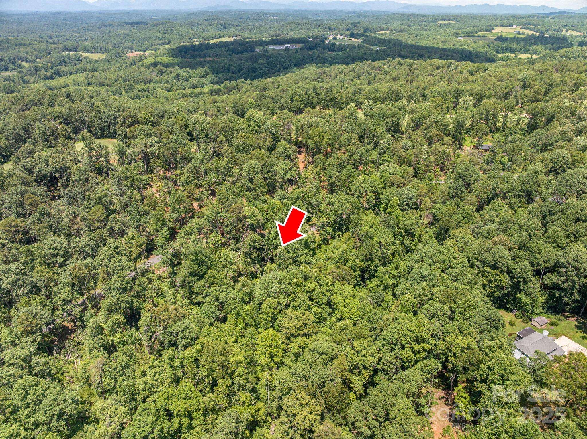 Lot 132 Plantation DR, Rutherfordton, NC 28139