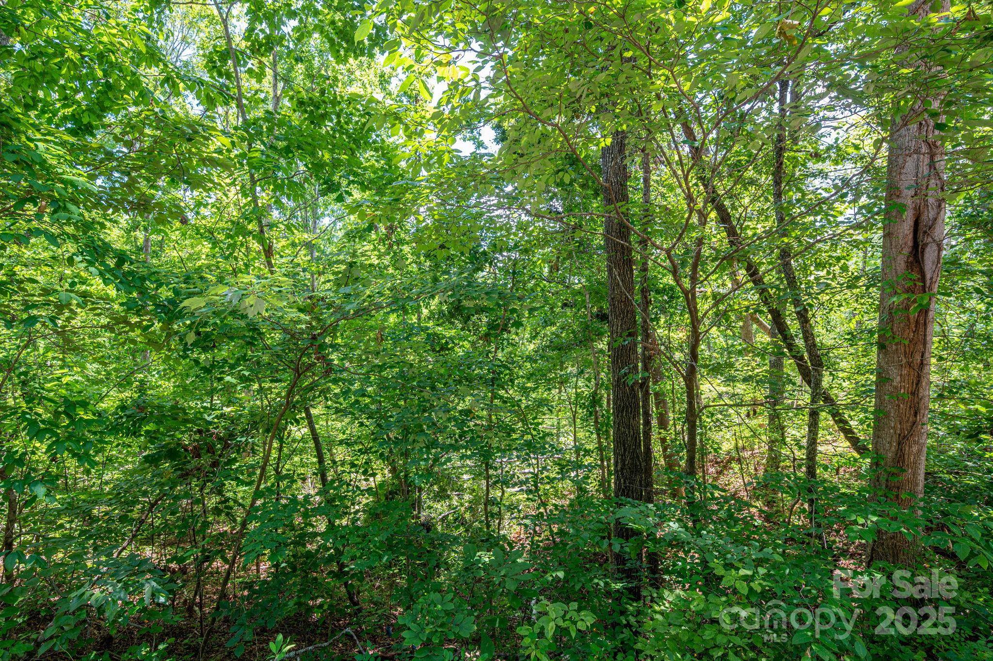 Lot 132 Plantation DR, Rutherfordton, NC 28139