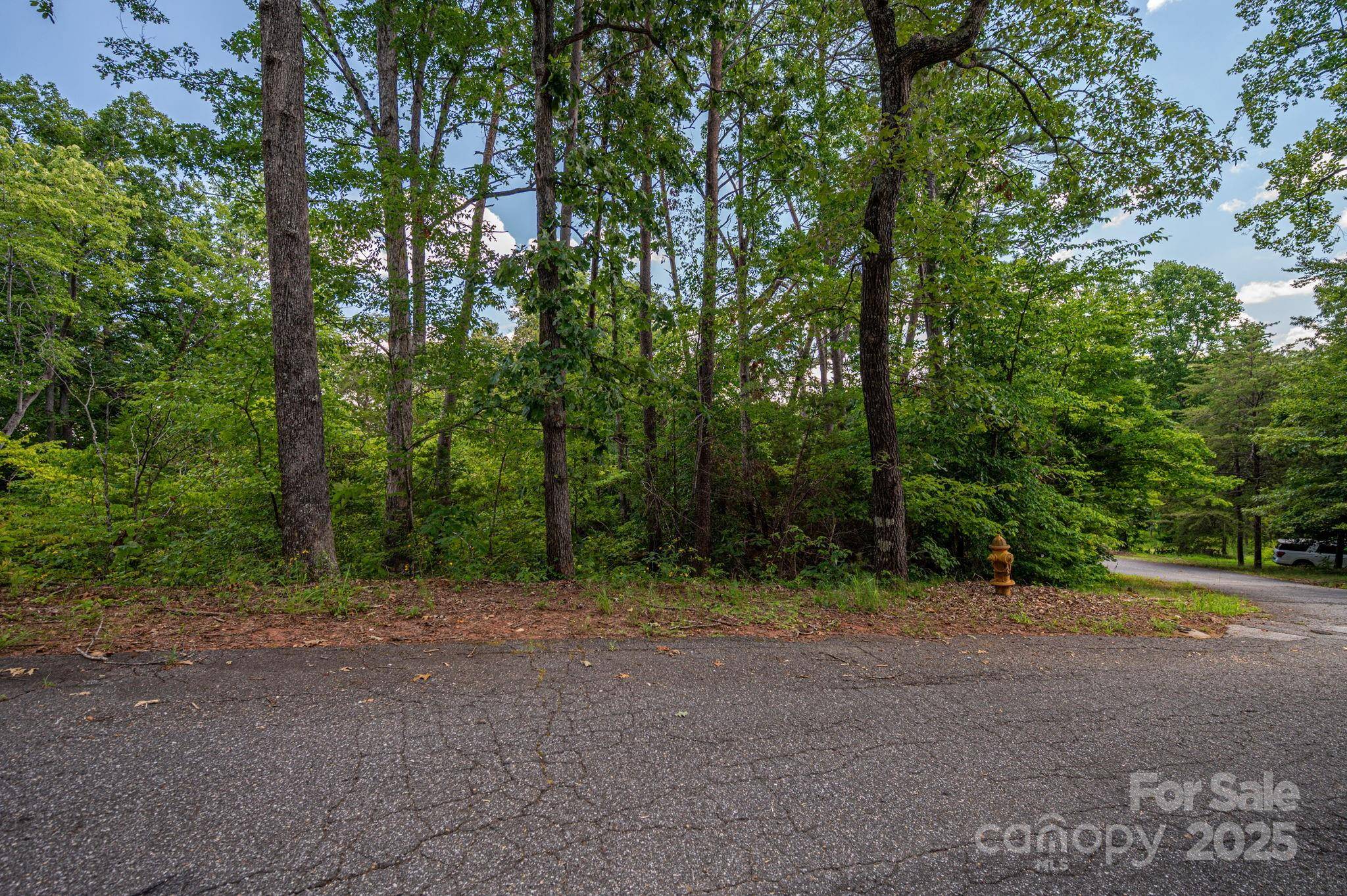 Lot 207 Plantation DR, Rutherfordton, NC 28139