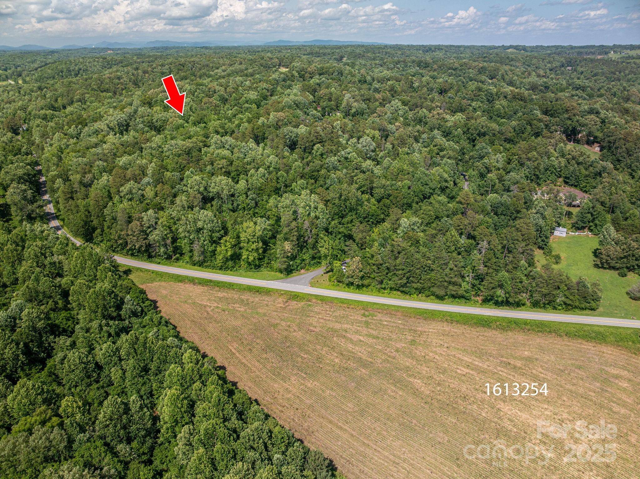 Lot 166 Plantation DR, Rutherfordton, NC 28139