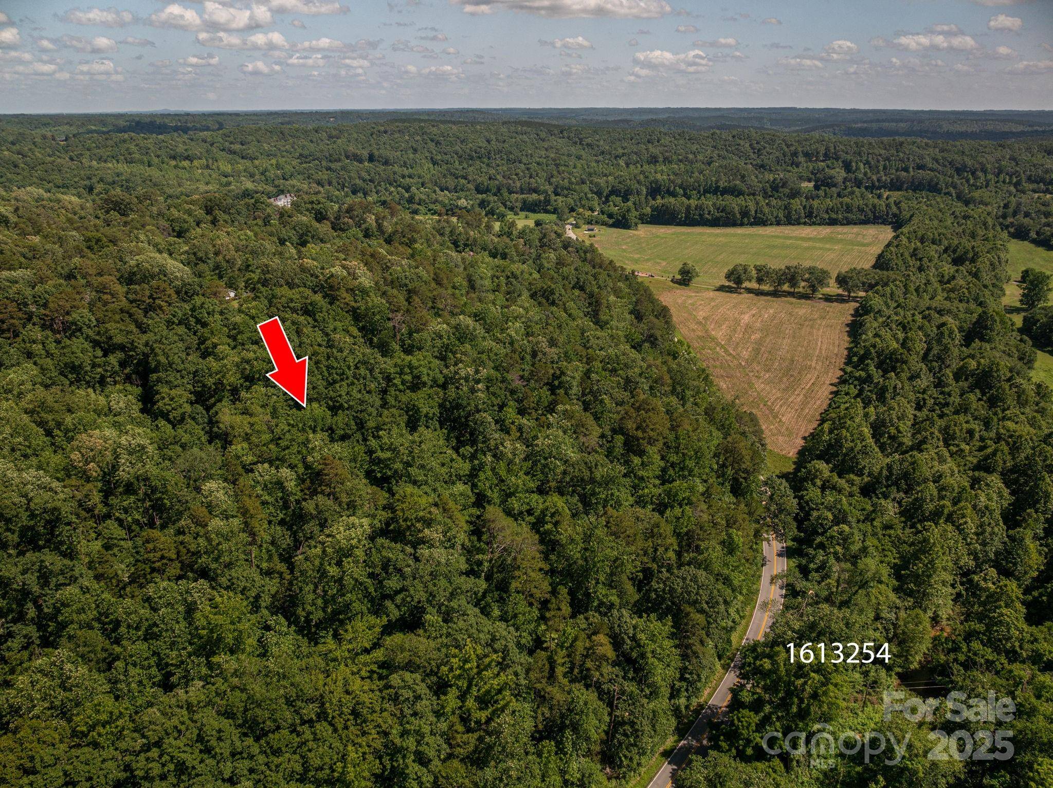 Lot 166 Plantation DR, Rutherfordton, NC 28139