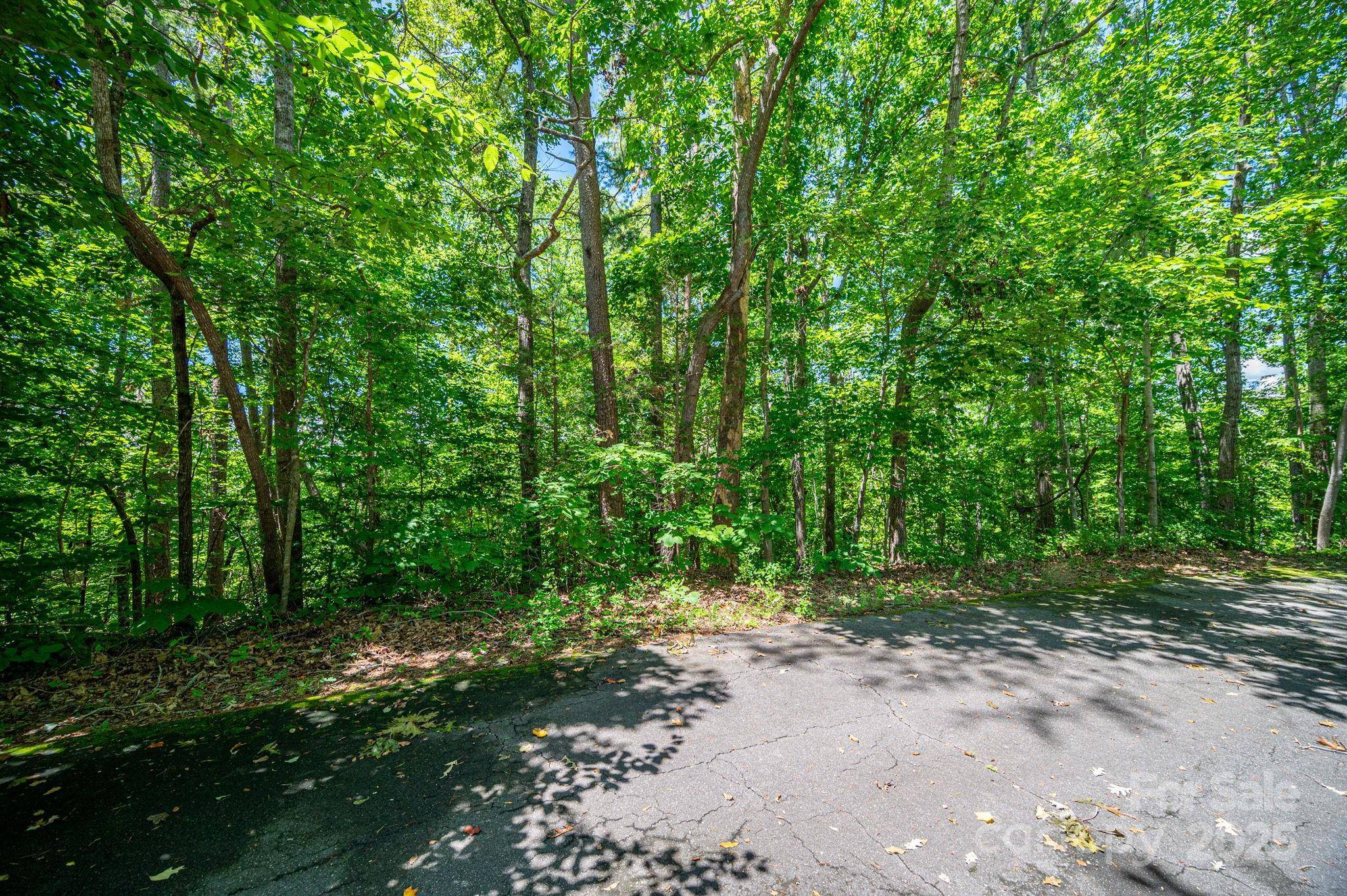 Lot 166 Plantation DR, Rutherfordton, NC 28139
