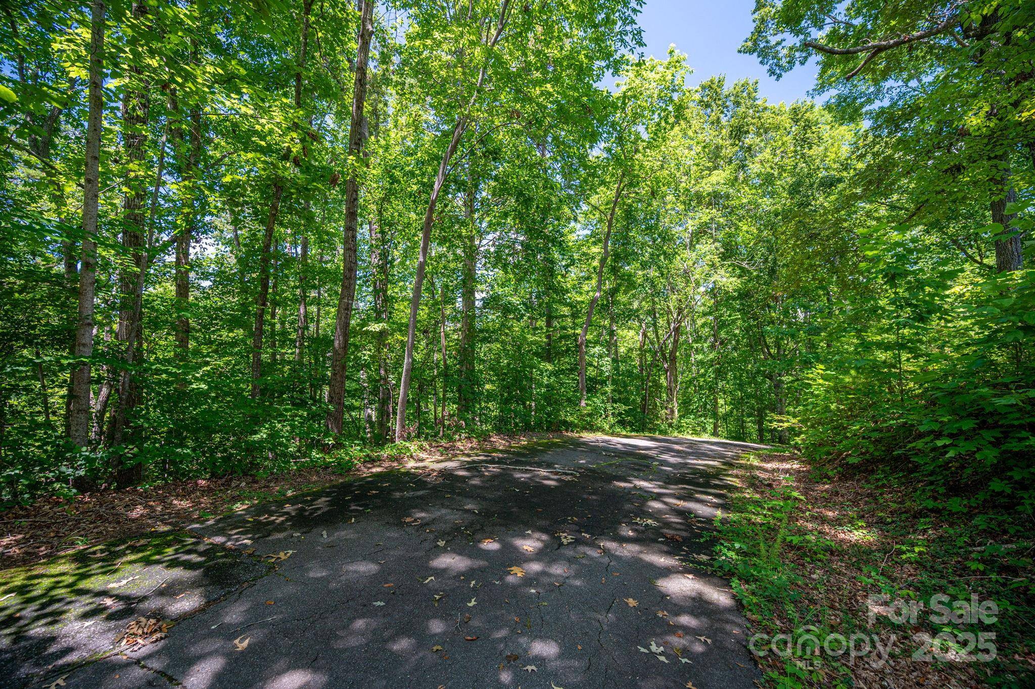 Lot 166 Plantation DR, Rutherfordton, NC 28139