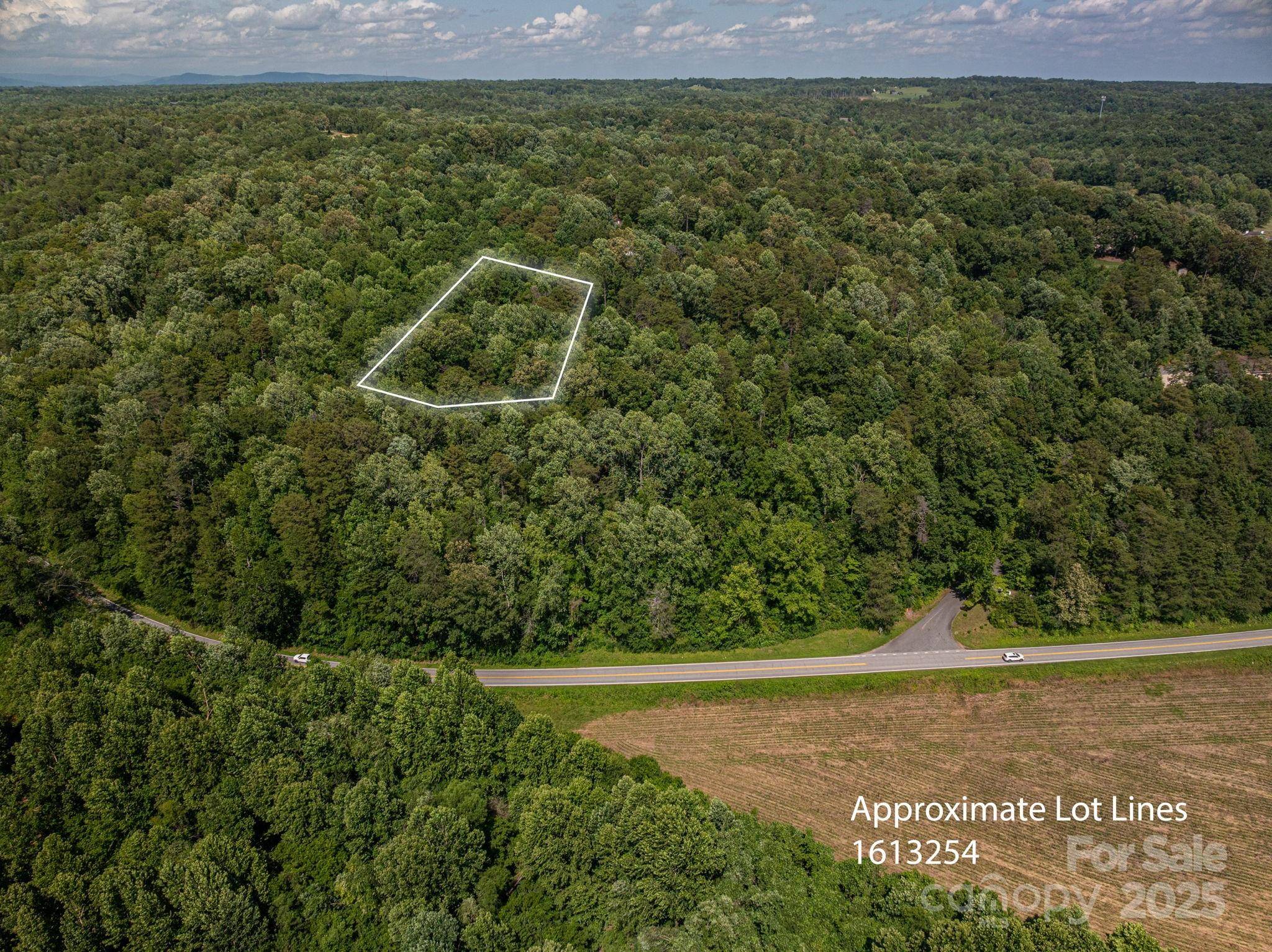 Lot 166 Plantation DR, Rutherfordton, NC 28139