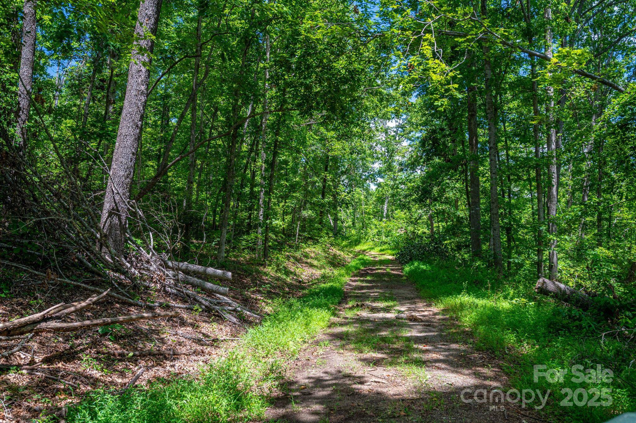 Lot 210 Plantation DR, Rutherfordton, NC 28139