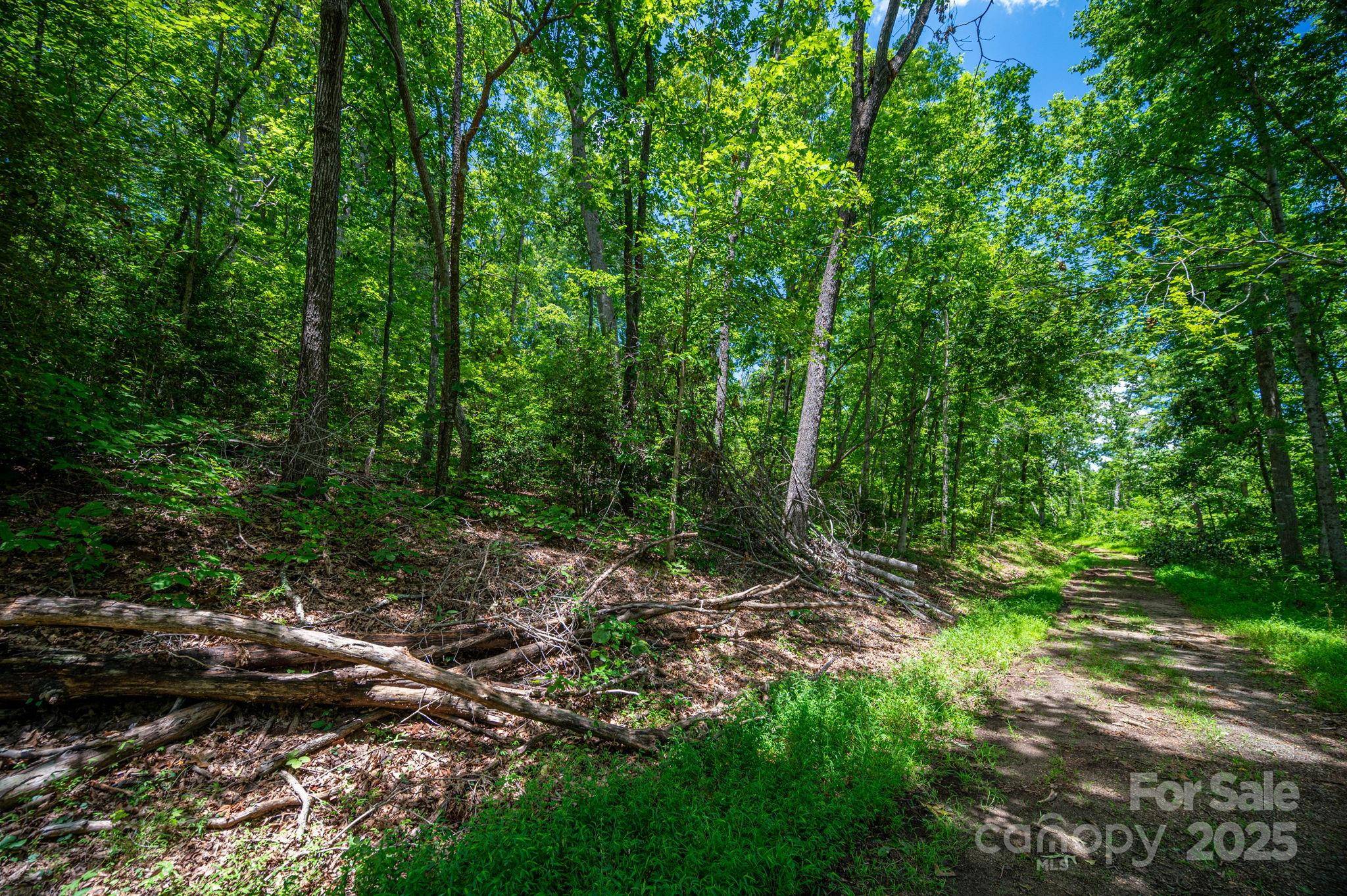 Lot 210 Plantation DR, Rutherfordton, NC 28139