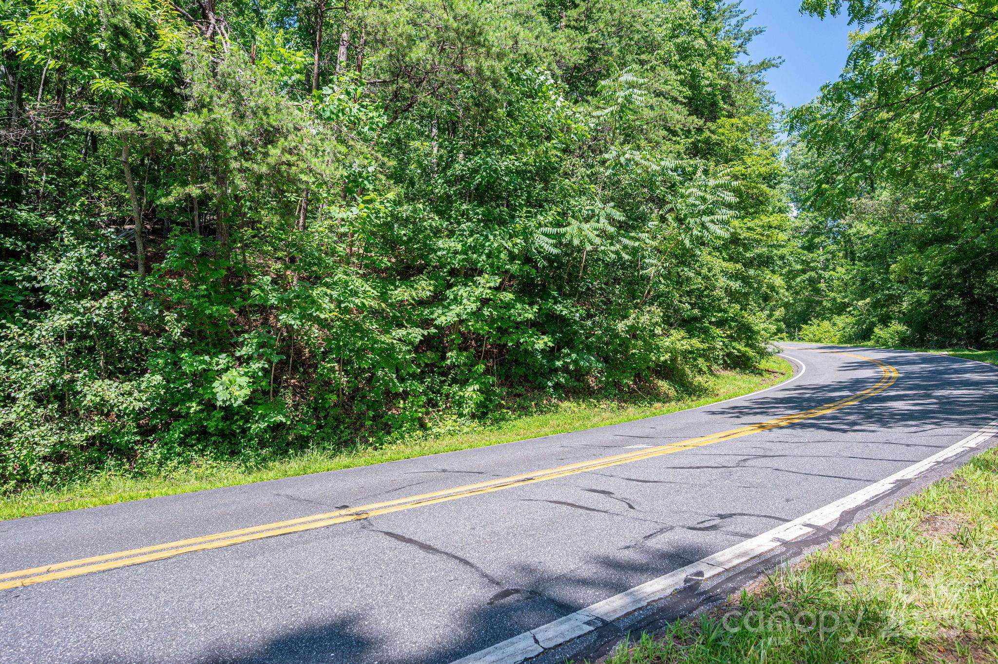 Lot 3 Cleghorn Mill RD, Rutherfordton, NC 28139