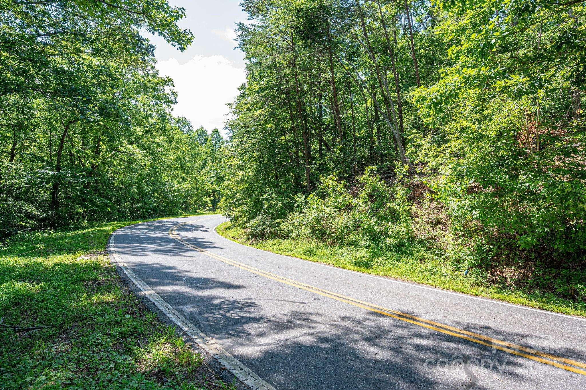 Lot 3 Cleghorn Mill RD, Rutherfordton, NC 28139