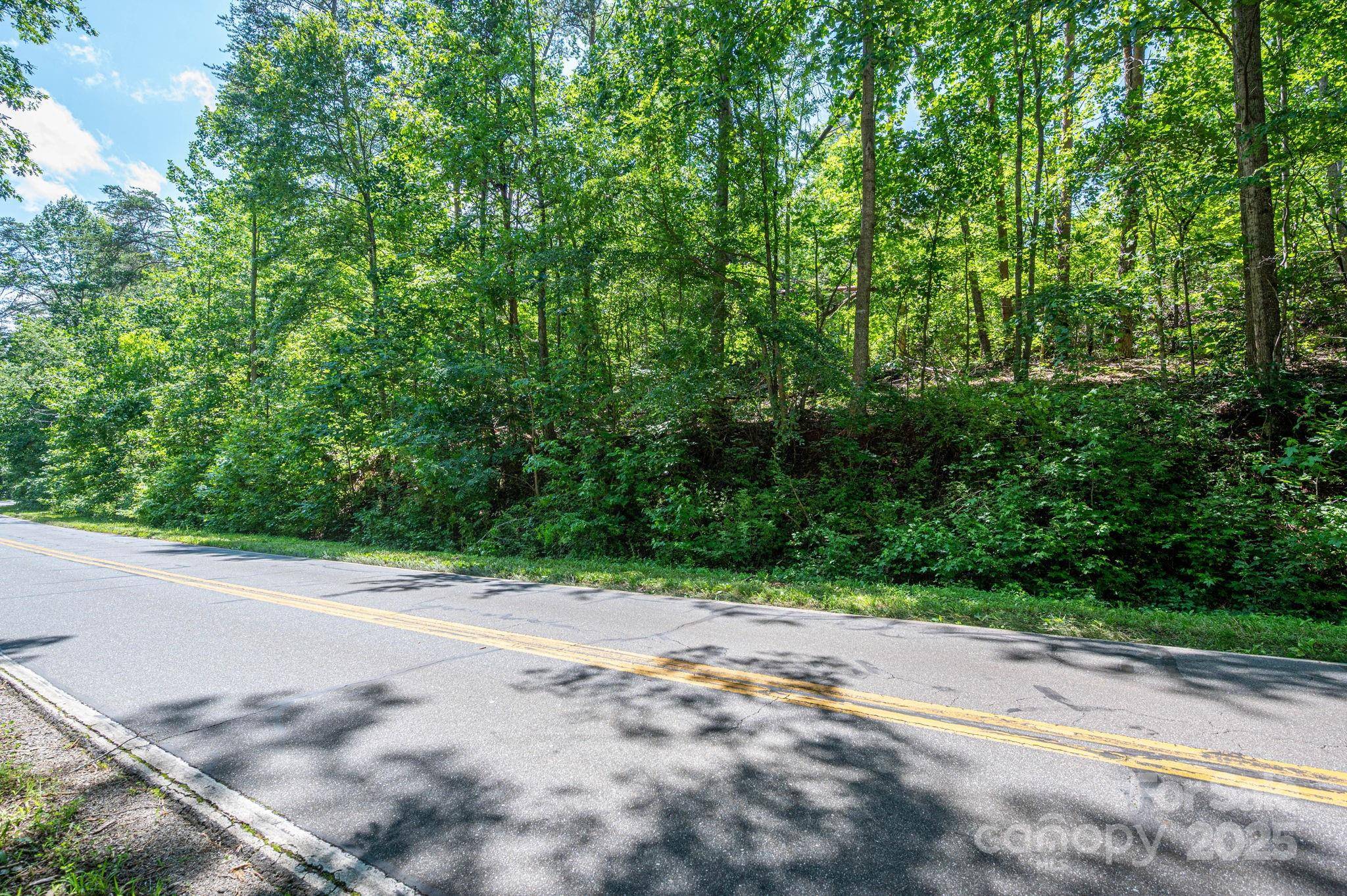 Lot 1 Cleghorn Mill RD, Rutherfordton, NC 28139