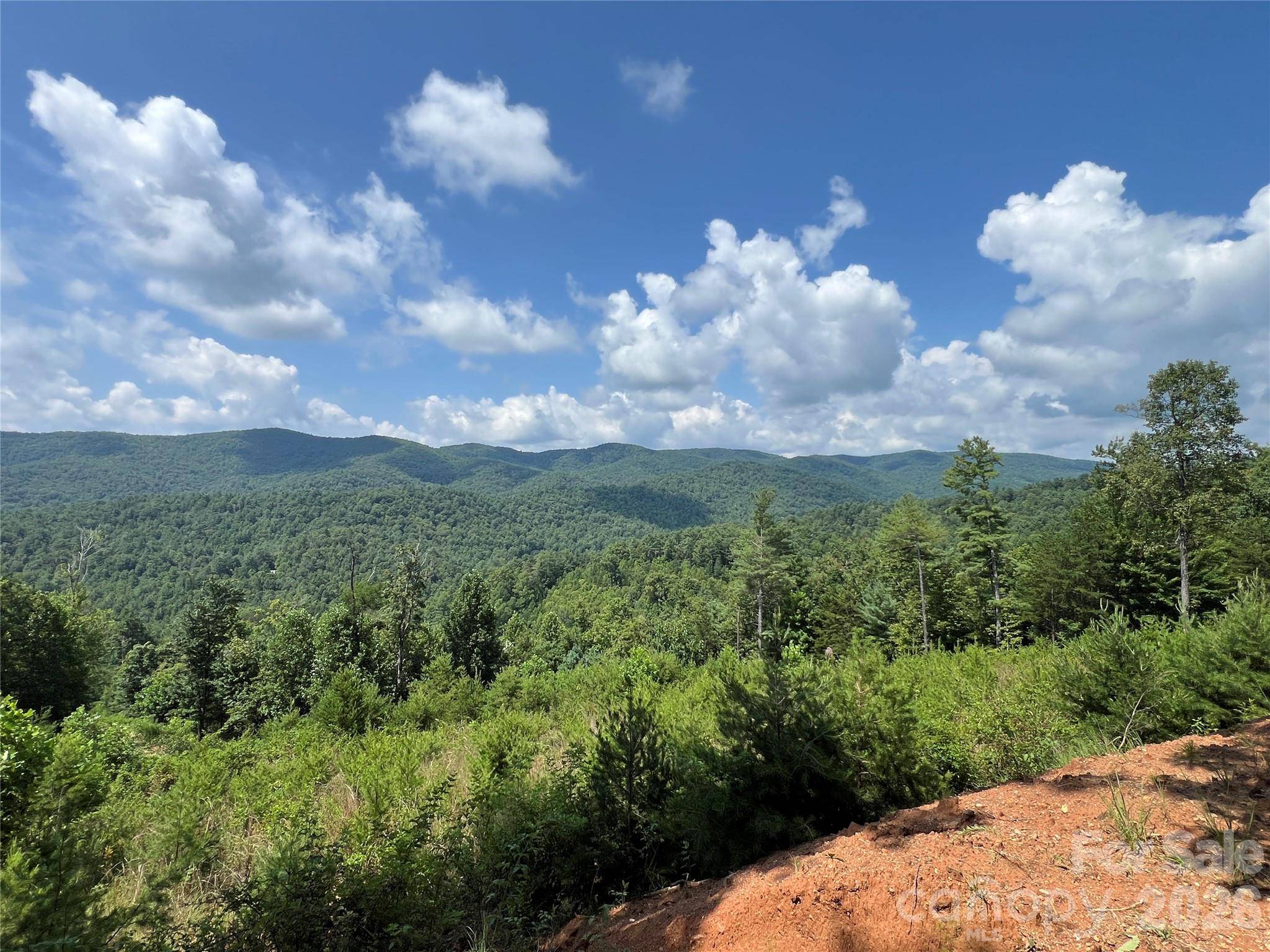 TBD Lazy Bear LN, Purlear, NC 28665