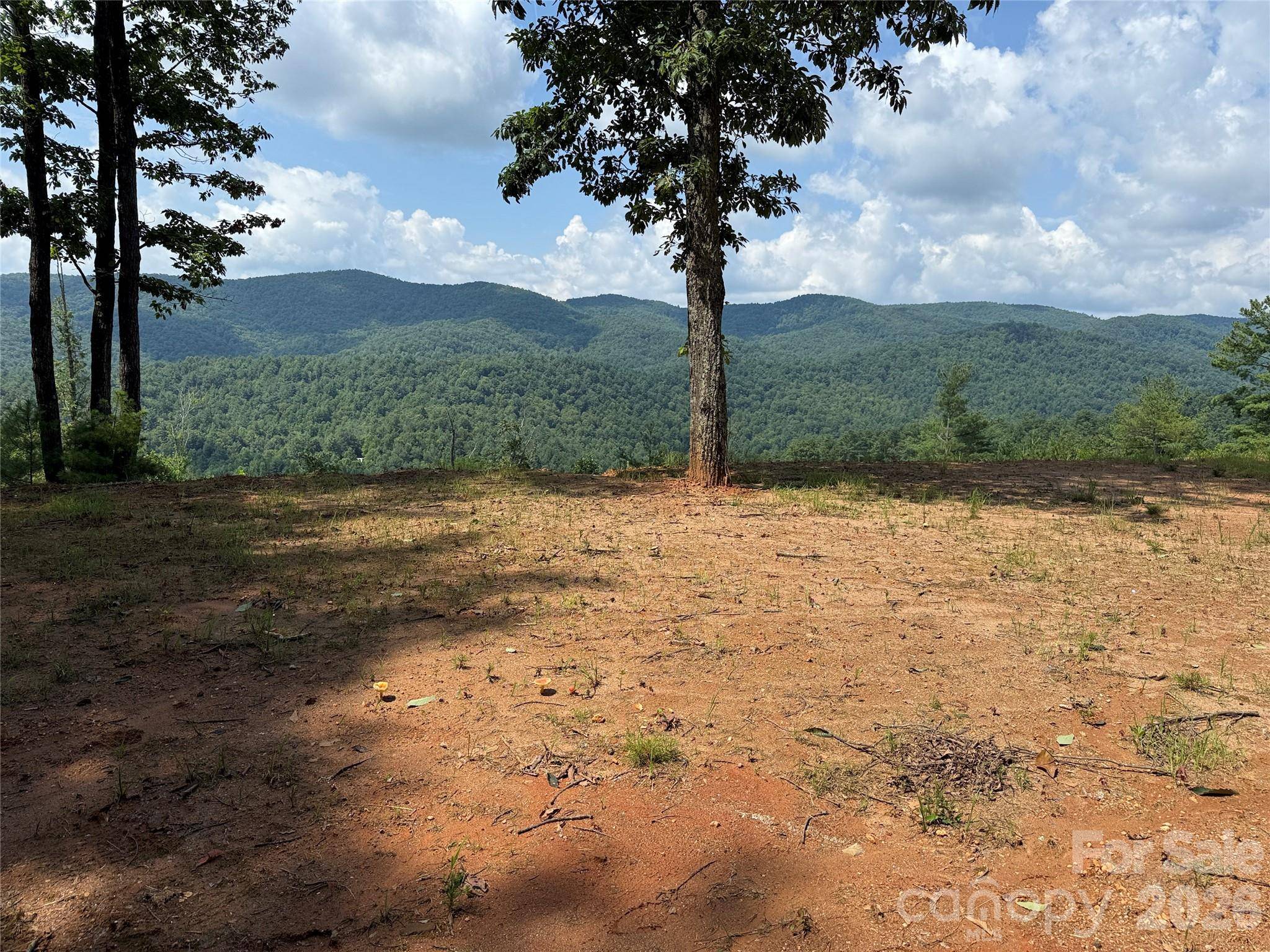 TBD Lazy Bear LN, Purlear, NC 28665