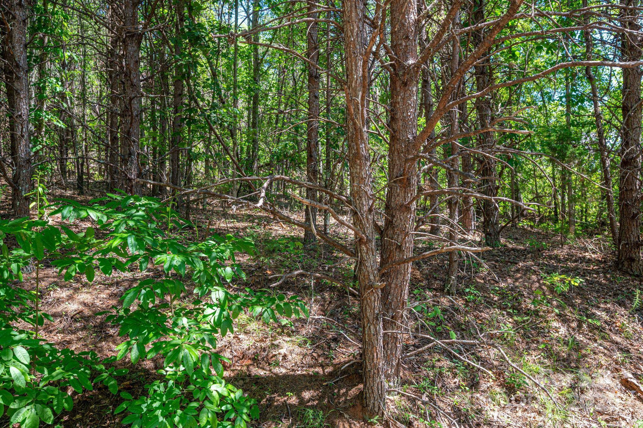Lot 12 Meadow Crossing DR, Rutherfordton, NC 28139