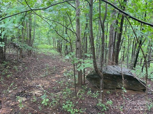 00 Cherry Hill ST, Mill Spring, NC 28756