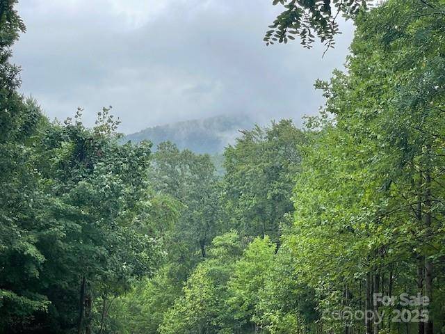 00 Cherry Hill ST, Mill Spring, NC 28756