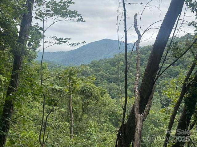 000 N Satellite Mountain RD N, Burnsville, NC 28714